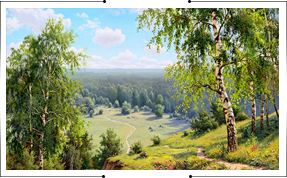 Березовая долина